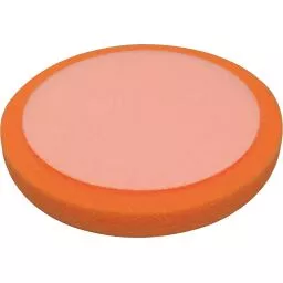 SPONGES
