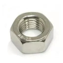 Stainless Steel Nuts