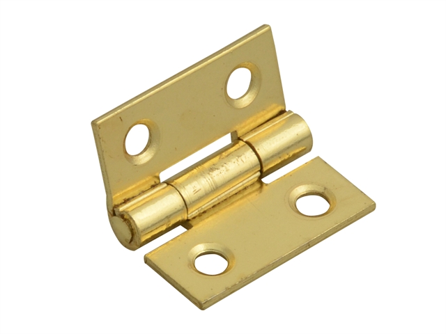 Brass Door Hinges