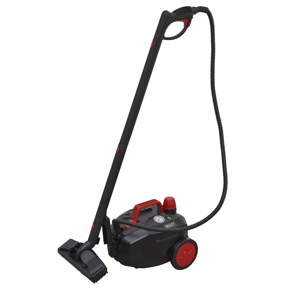 Steam Cleaners