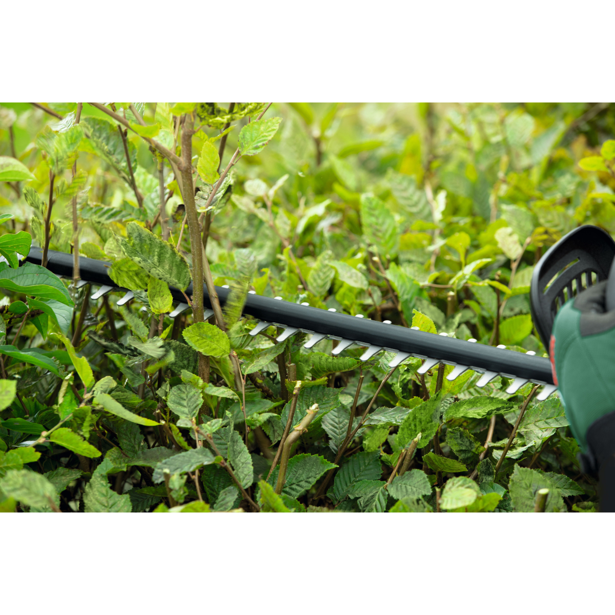 Bosch UniversalHedgeCut 18-55 Body Only 18V 55cm Brushless Hedgecutter
