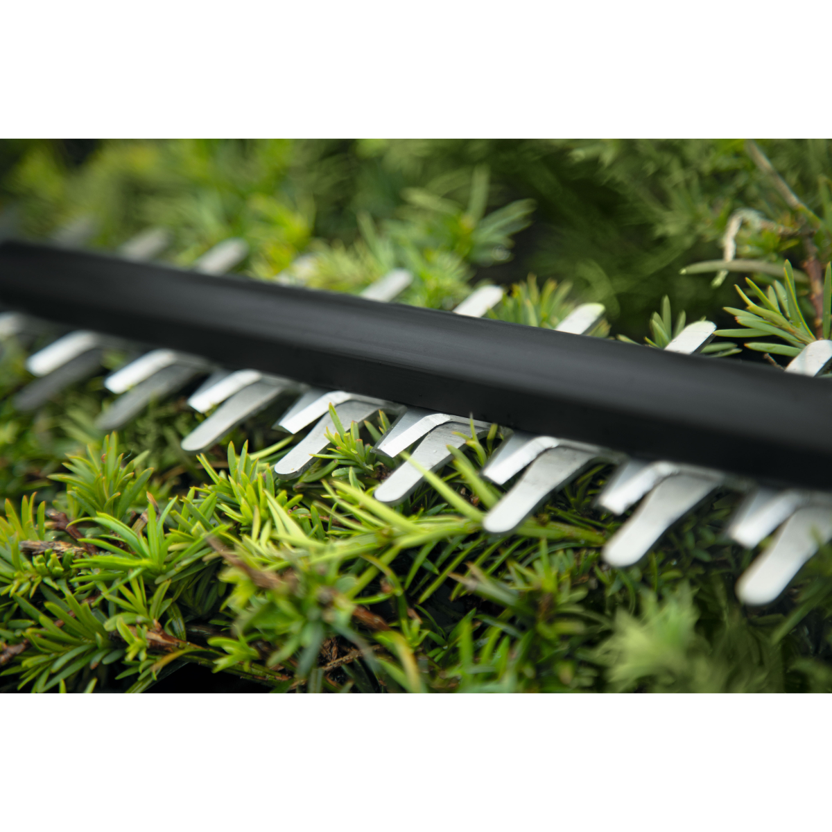 Bosch UniversalHedgeCut 18-50 Body Only 18V 50cm Brushless Hedgecutter