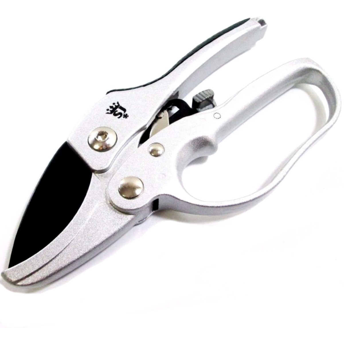 Spear and Jackson 6258KEW Razorsharp Compact Ratchet Anvil Secateurs