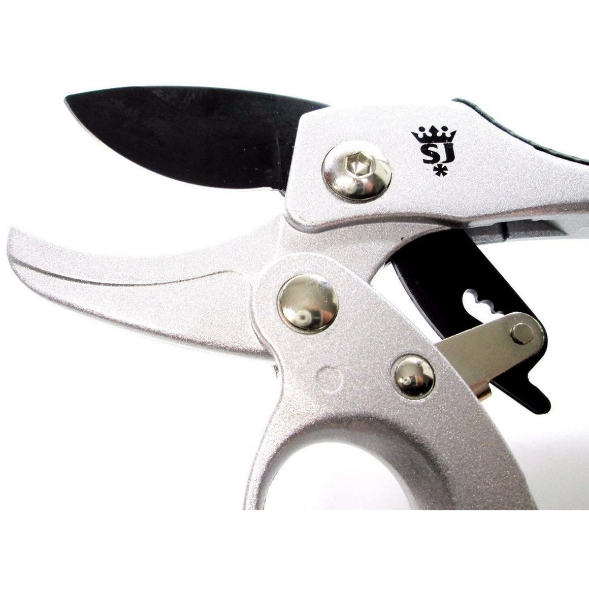 Spear and Jackson 6258KEW Razorsharp Compact Ratchet Anvil Secateurs