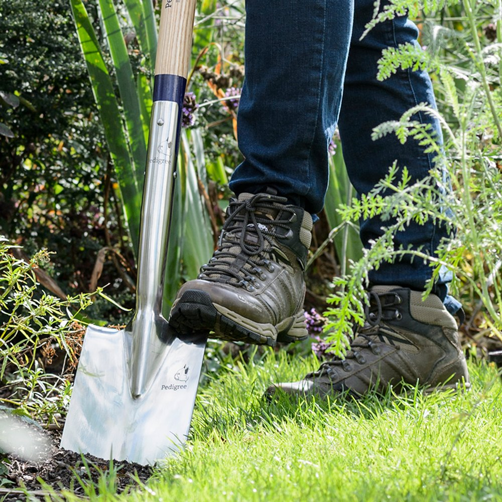 Bulldog PGBS28 Pedigree Stainless Steel Treaded Border Spade 28" Wood