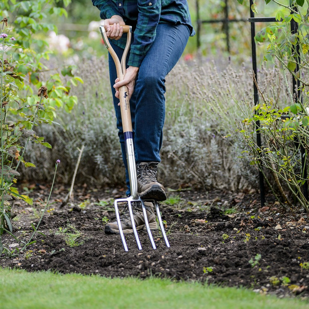 Bulldog PGDF32 Pedigree Stainless Steel Digging Fork 32" Wood