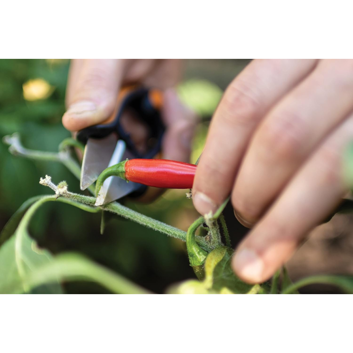 Fiskars 1063326 Solid™ SP220 Herb Snips