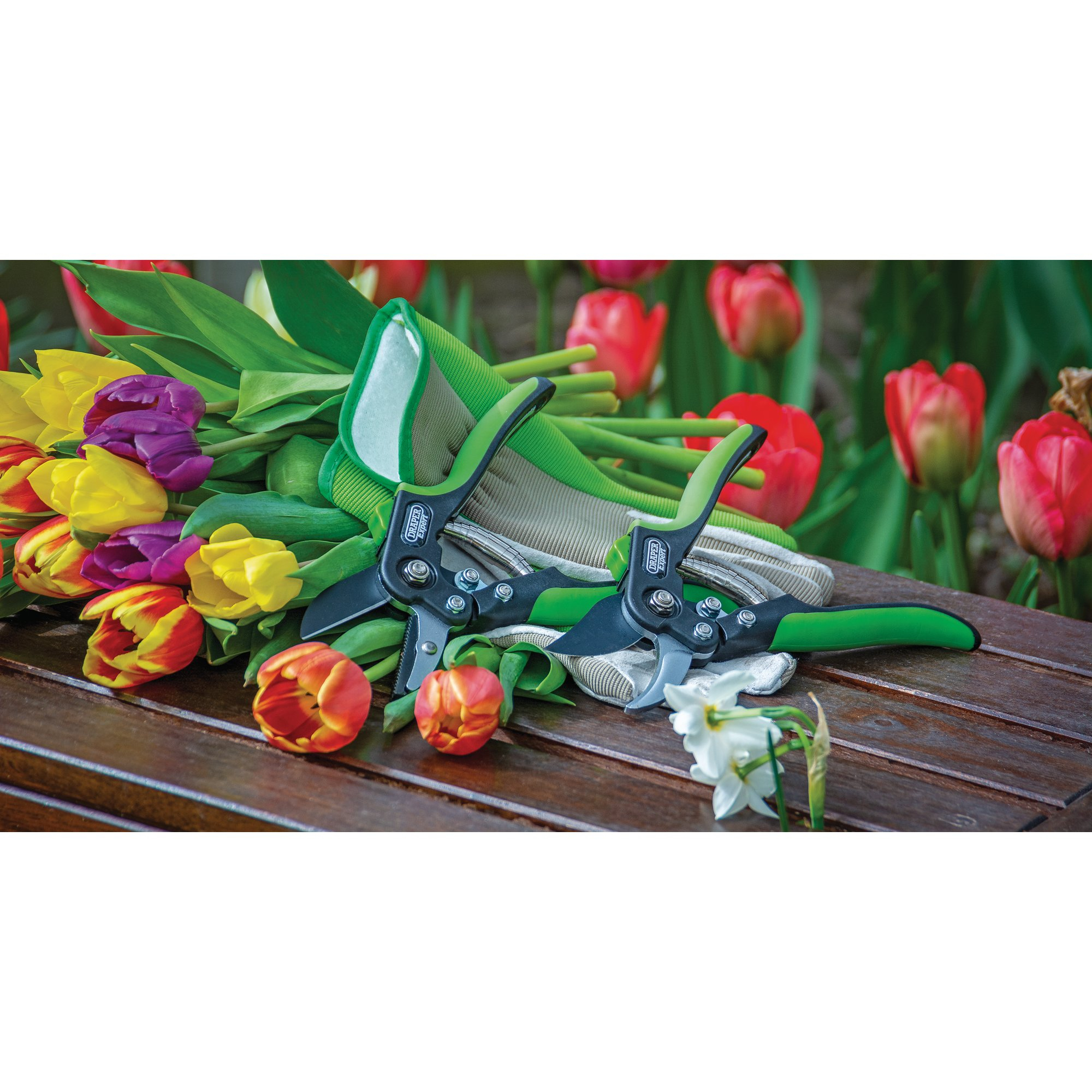 Draper 94983 GASE2 Anvil Pattern Secateurs (200mm)