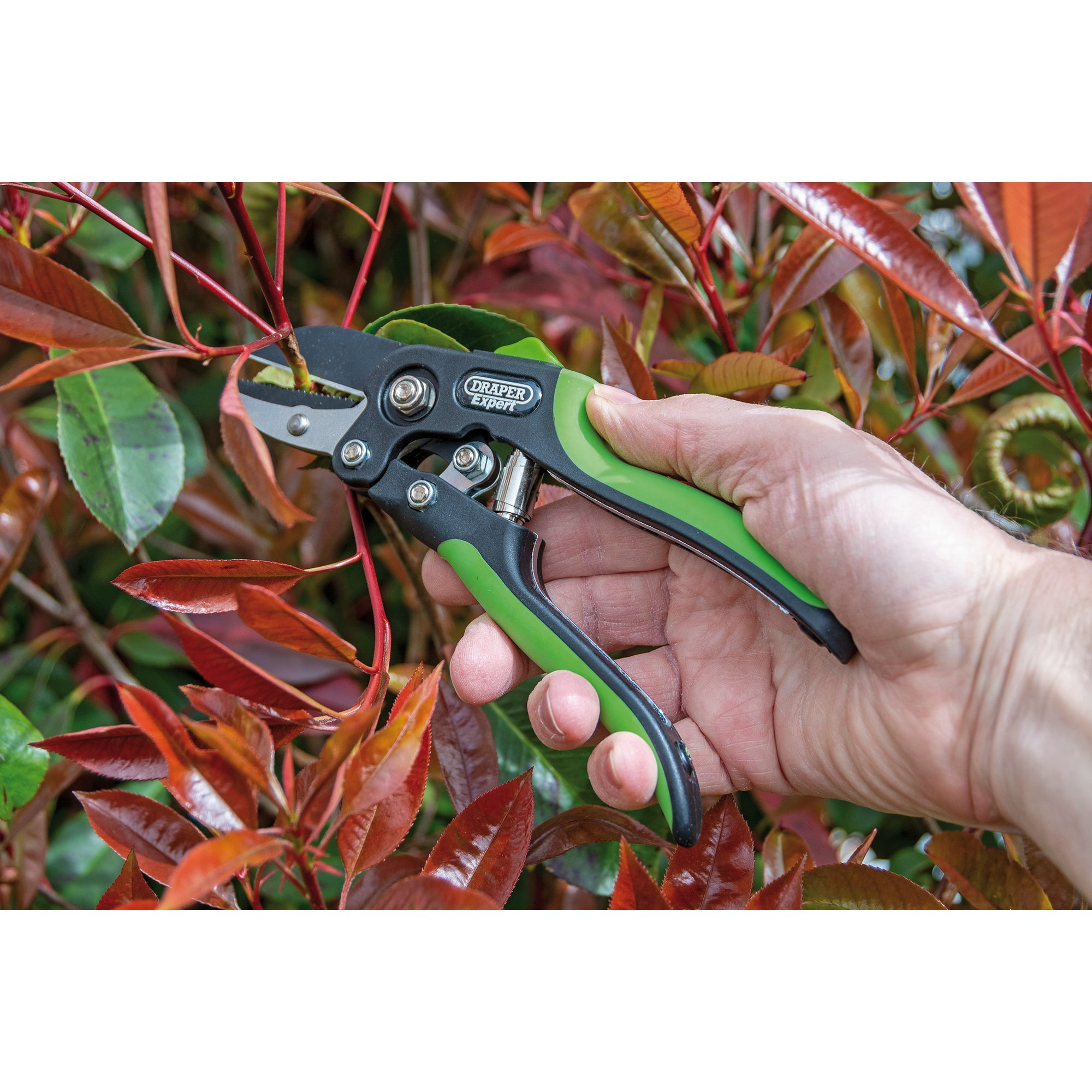 Draper 94983 GASE2 Anvil Pattern Secateurs (200mm)