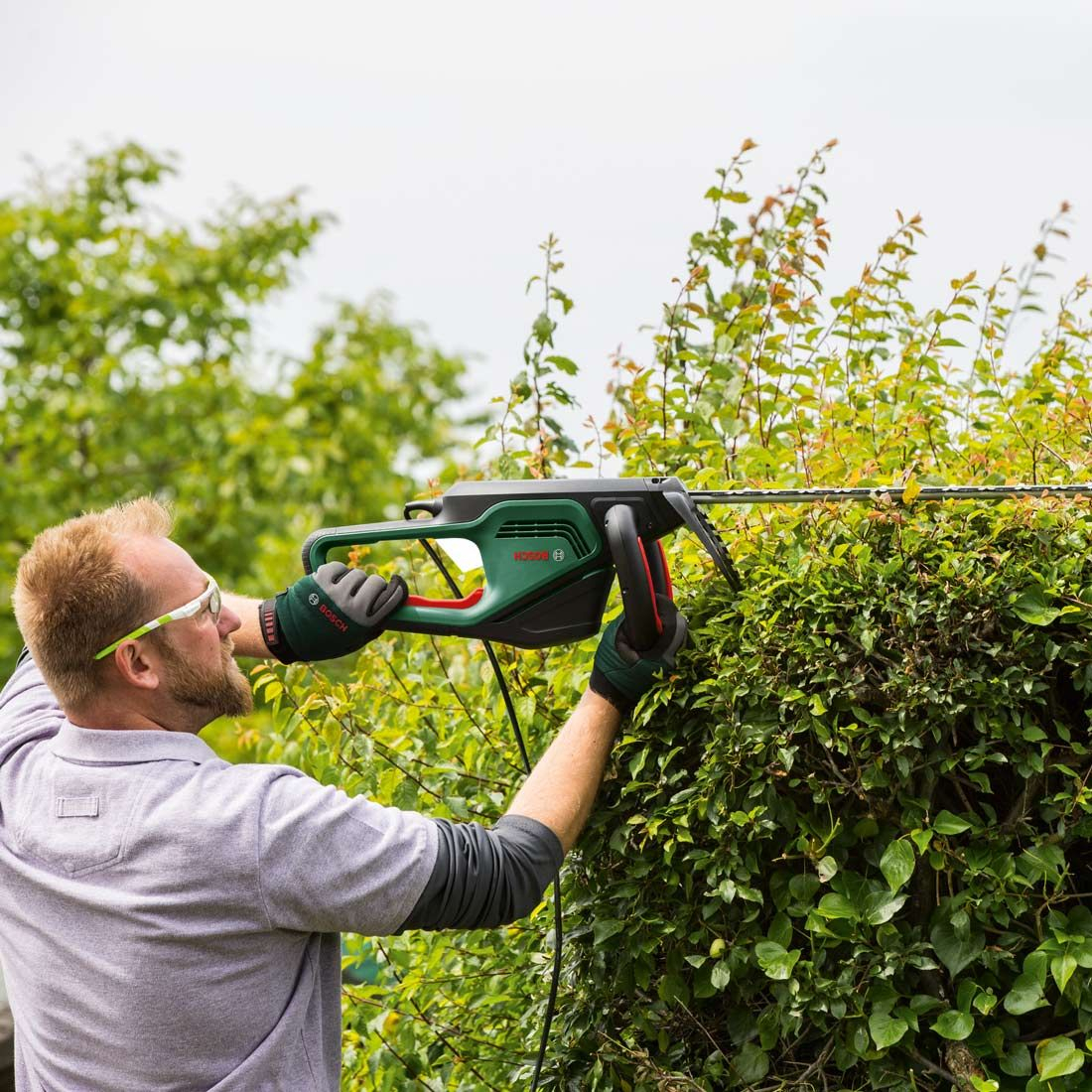 Bosch AdvancedHedgeCut 65 65cm 500w Hedge Cutter