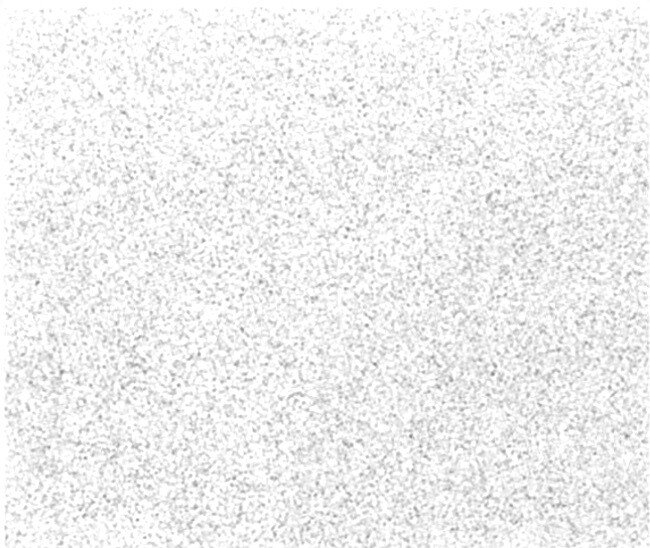 Makita P-36550 Abrasive White Paper 114 x 140mm 40 Grit (Pack of 10)