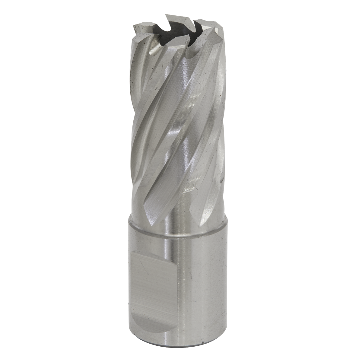 Sealey RBHSS17S Rotabor Cutter HSS ø17mm - Cut Depth 25mm