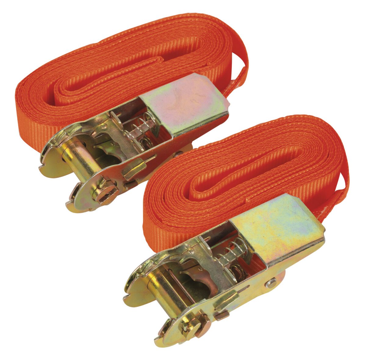 Sealey TD05045E Self-Securing Ratchet Tie Down 25mm x 4.5mtr 500kg Load Test - Pair