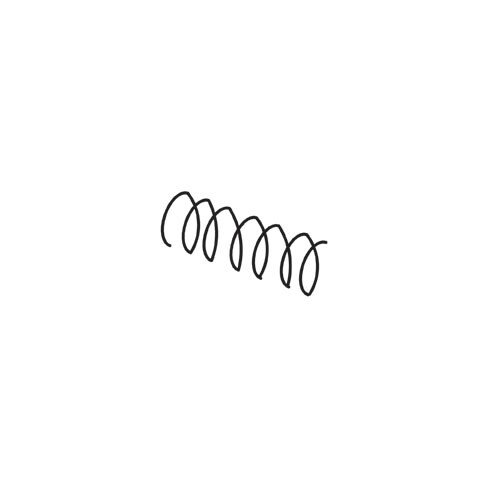Trend WP-PRT/37 PRT pivot guard slider spring