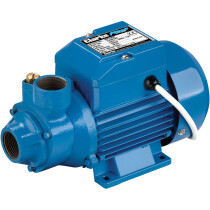 Clarke 7230330 BIP1000 1" Electric Water Pump