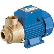 Clarke 7230327 1" 230V Centrifugal Brass Body Water Pump