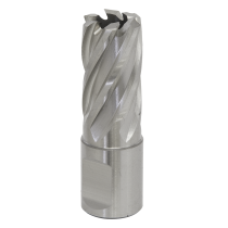 Sealey RBHSS17S Rotabor Cutter HSS ø17mm - Cut Depth 25mm