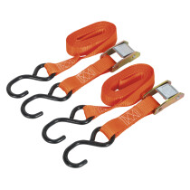 Sealey TD2525CS Cam Buckle Tie Down 25mm x 2.5mtr Polyester Webbing with S Hooks 250kg L...