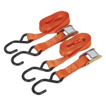Sealey TD05025CS Cam Buckle Tie Down 25mm x 2.5mtr Polyester Webbing with S Hooks 500kg L...