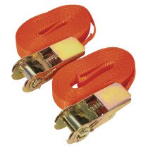 Sealey TD08045E Self-Securing Ratchet Tie Down 25mm x 4.5mtr 800kg Load Test - Pair