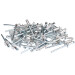 Draper 14011 RIV 50 x 4.8mm x 10mm Blind Rivets