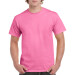 Azalea 105897