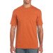 Antique Orange 105977