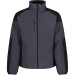 Seal Grey 038