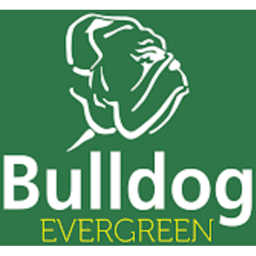 Bulldog BFR Evergreen Flat Rake
