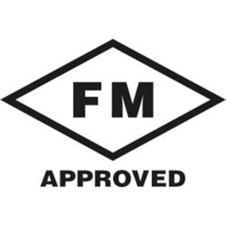 Fischer 567780 Strong Undercut Anchor FSU-P M10x100/20 Pack x 10